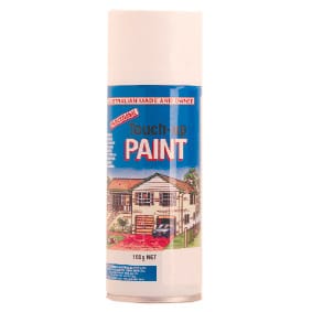 Touch Up Paint - 150g Spray Can - B