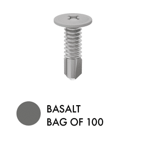 XPS SCREWS - Bag of 100 - BS