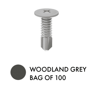 XPS SCREWS - Bag of 100 - G